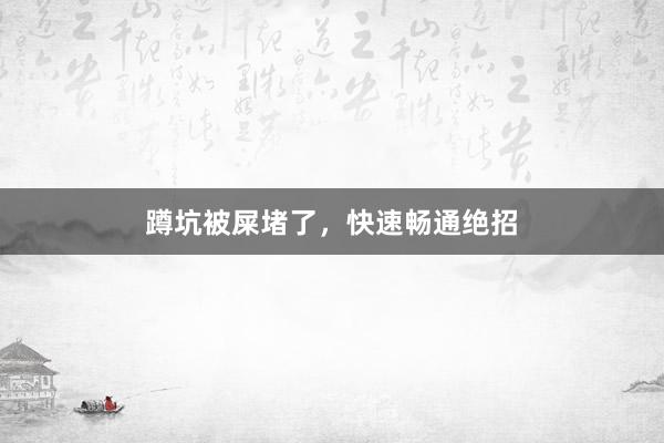 蹲坑被屎堵了，快速畅通绝招