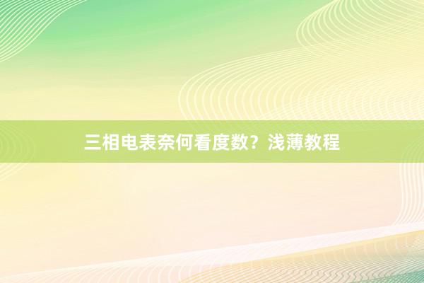 三相电表奈何看度数？浅薄教程